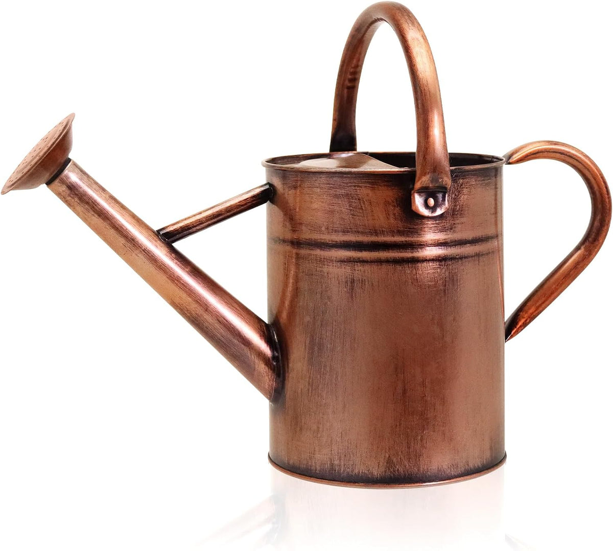 Metal Watering Can with Removable Spout, Galvanized, Perfect for Indoor and Outdoor Use (1 Gallon, Yellow)