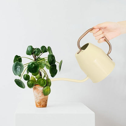 Metal Watering Can with Removable Spout, Galvanized, Perfect for Indoor and Outdoor Use (1 Gallon, Yellow)