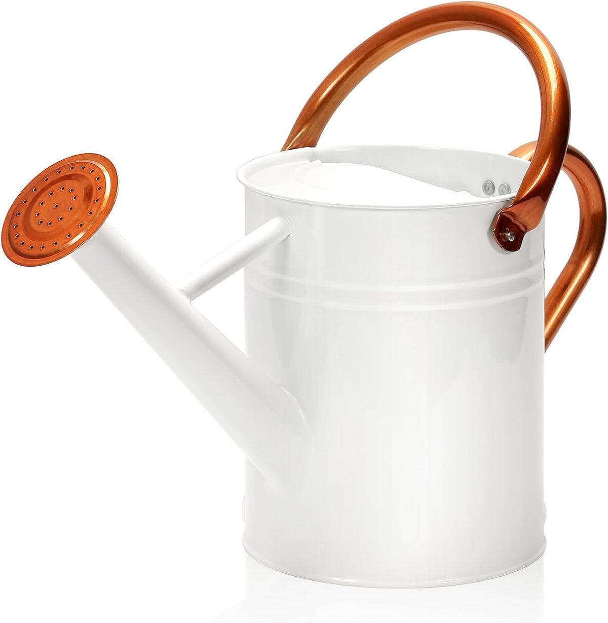 Metal Watering Can with Removable Spout, Galvanized, Perfect for Indoor and Outdoor Use (1 Gallon, Yellow)