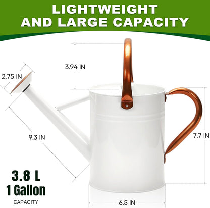 Metal Watering Can with Removable Spout, Galvanized, Perfect for Indoor and Outdoor Use (1 Gallon, Yellow)