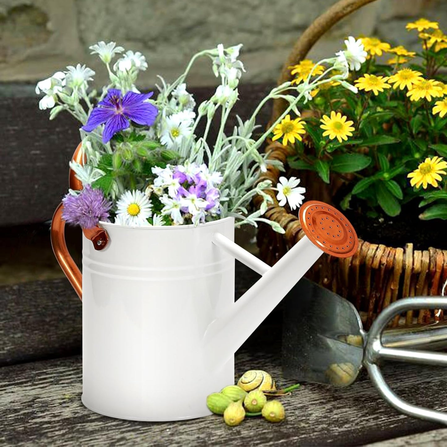 Metal Watering Can with Removable Spout, Galvanized, Perfect for Indoor and Outdoor Use (1 Gallon, Yellow)