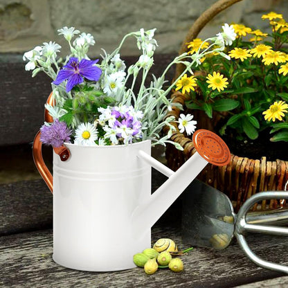 Metal Watering Can with Removable Spout, Galvanized, Perfect for Indoor and Outdoor Use (1 Gallon, Yellow)