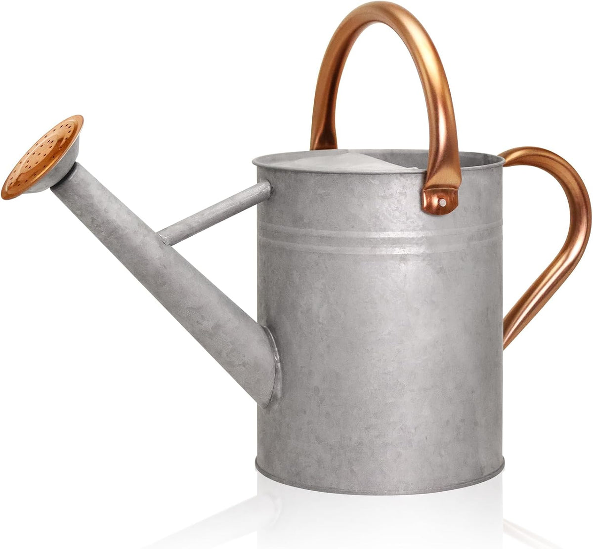 Metal Watering Can with Removable Spout, Galvanized, Perfect for Indoor and Outdoor Use (1 Gallon, Yellow)