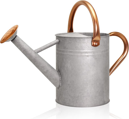 Metal Watering Can with Removable Spout, Galvanized, Perfect for Indoor and Outdoor Use (1 Gallon, Yellow)