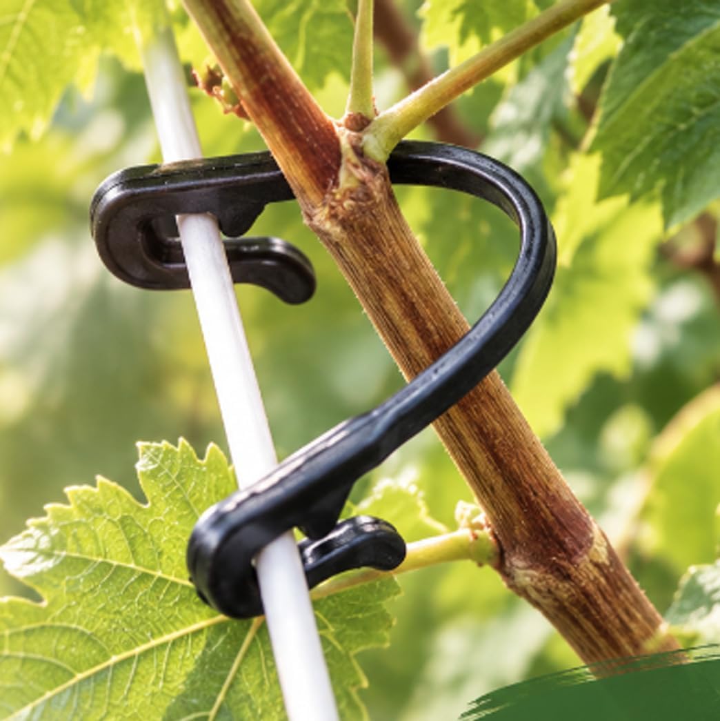 300-Pack Grape Vine Trellis Clips