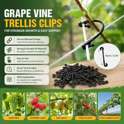 300-Pack Grape Vine Trellis Clips