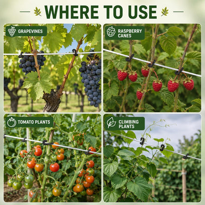 300-Pack Grape Vine Trellis Clips