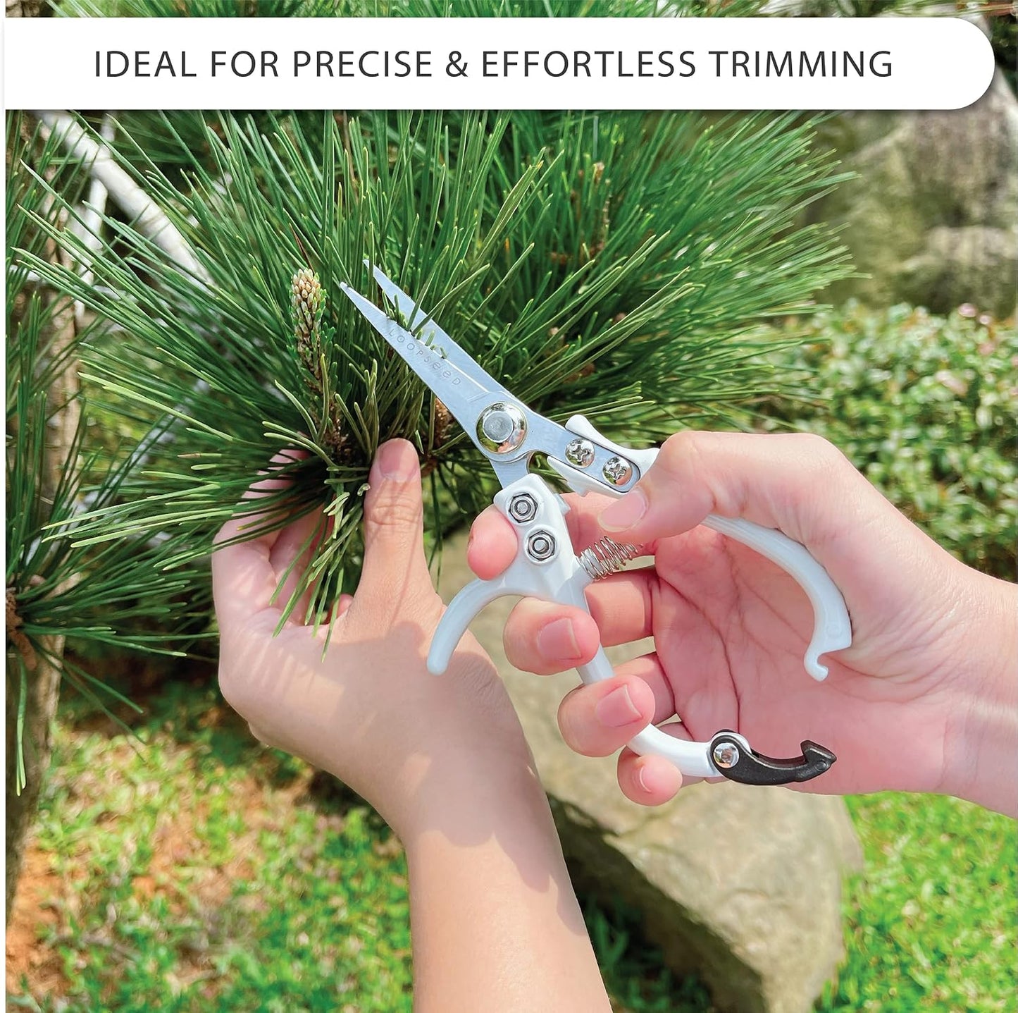 Precision Plant Pruning Shears - Straight Blade, White