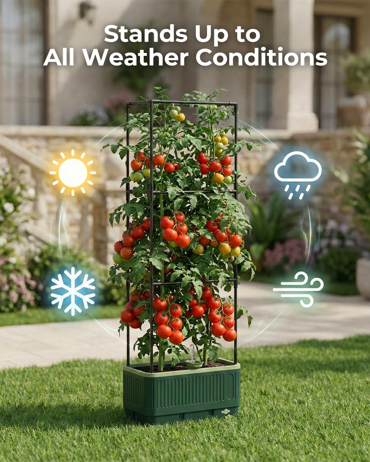 Raised Garden Bed Planter Box with Trellis, Self Watering Tomato Planters for Climbing Plants, Tomato Cage Trellis for Vegetables & Vine Flowers Indoor Outdoor Patio (Dark Green, 51.2In(2PCS))