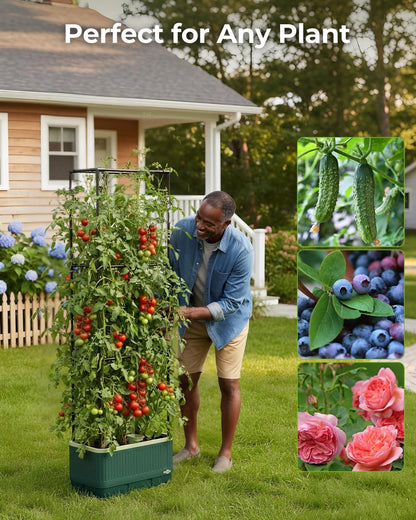 Raised Garden Bed Planter Box with Trellis, Self Watering Tomato Planters for Climbing Plants, Tomato Cage Trellis for Vegetables & Vine Flowers Indoor Outdoor Patio (Dark Green, 51.2In(2PCS))