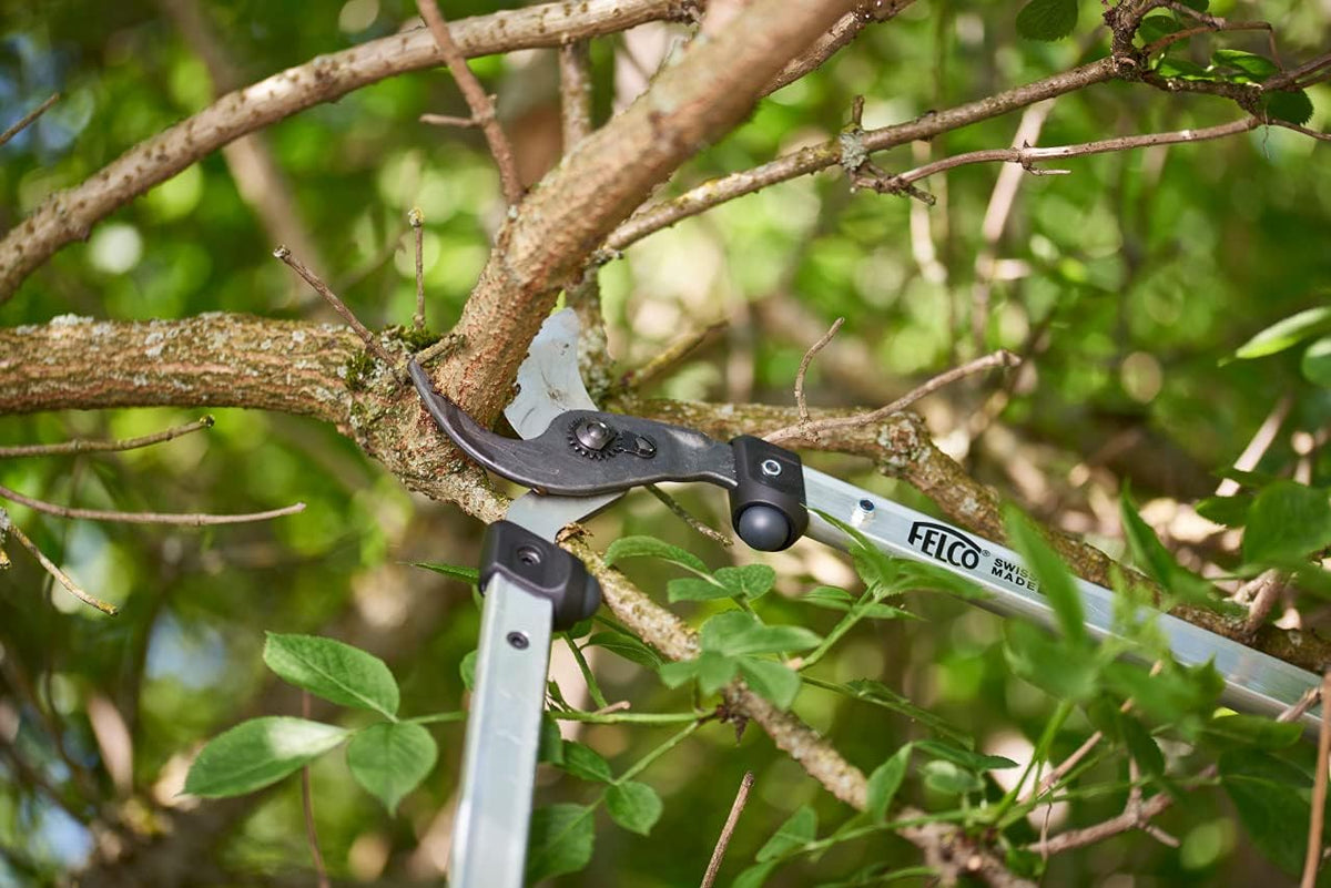 F211-40 Swiss Made Loppers for Gardening – 16" Lightweight Precision Loppers for Tree Trimming | Tree Branch Cutters | Tree Trimmer Tool with Curved Bypass Blade | I-Beam Handles | Landscape
