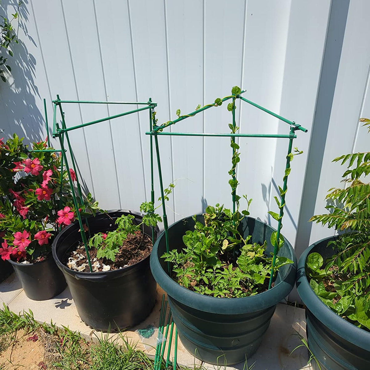 Garden Stakes 13.7 Inch, DIY 4ft 5ft 6ft 7ft 8ft 15Set Tomato Stakes Plastic Coated Metal Plant Sticks Stakes Supports for Indoor Outdoor Plants Vegetable 72 Pack