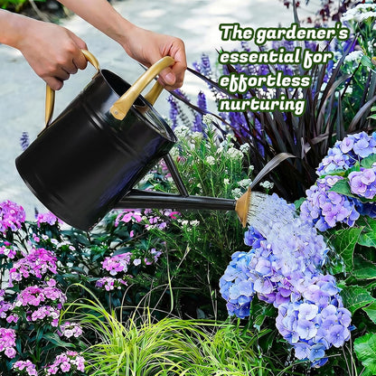 1 Gallon Watering Can for Plants, Watering Cans for Indoor&Outdoor Gardening, Galvanized Steel Watering Pot with Removable Spout, Metal Water Can with Ergonomic Movable Handle(Gold)
