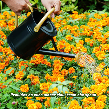 1 Gallon Watering Can for Plants, Watering Cans for Indoor&Outdoor Gardening, Galvanized Steel Watering Pot with Removable Spout, Metal Water Can with Ergonomic Movable Handle(Gold)