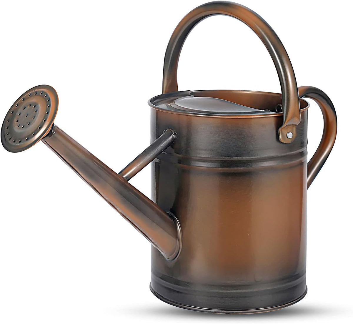 1 Gallon Watering Can for Plants, Watering Cans for Indoor&Outdoor Gardening, Galvanized Steel Watering Pot with Removable Spout, Metal Water Can with Ergonomic Movable Handle(Gold)