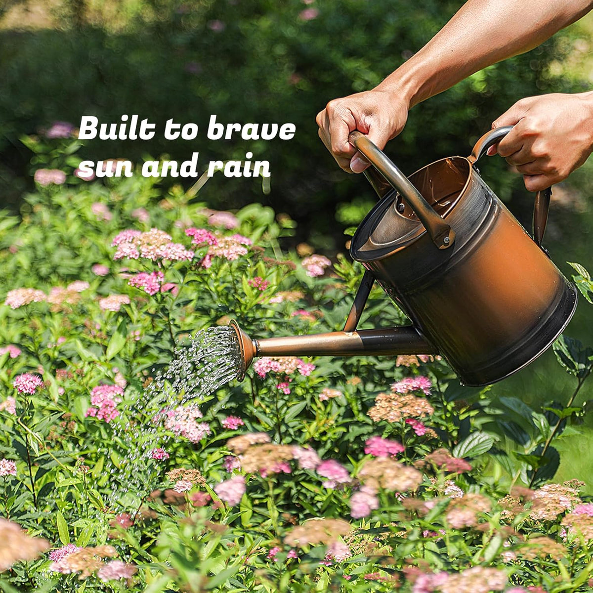 1 Gallon Watering Can for Plants, Watering Cans for Indoor&Outdoor Gardening, Galvanized Steel Watering Pot with Removable Spout, Metal Water Can with Ergonomic Movable Handle(Gold)