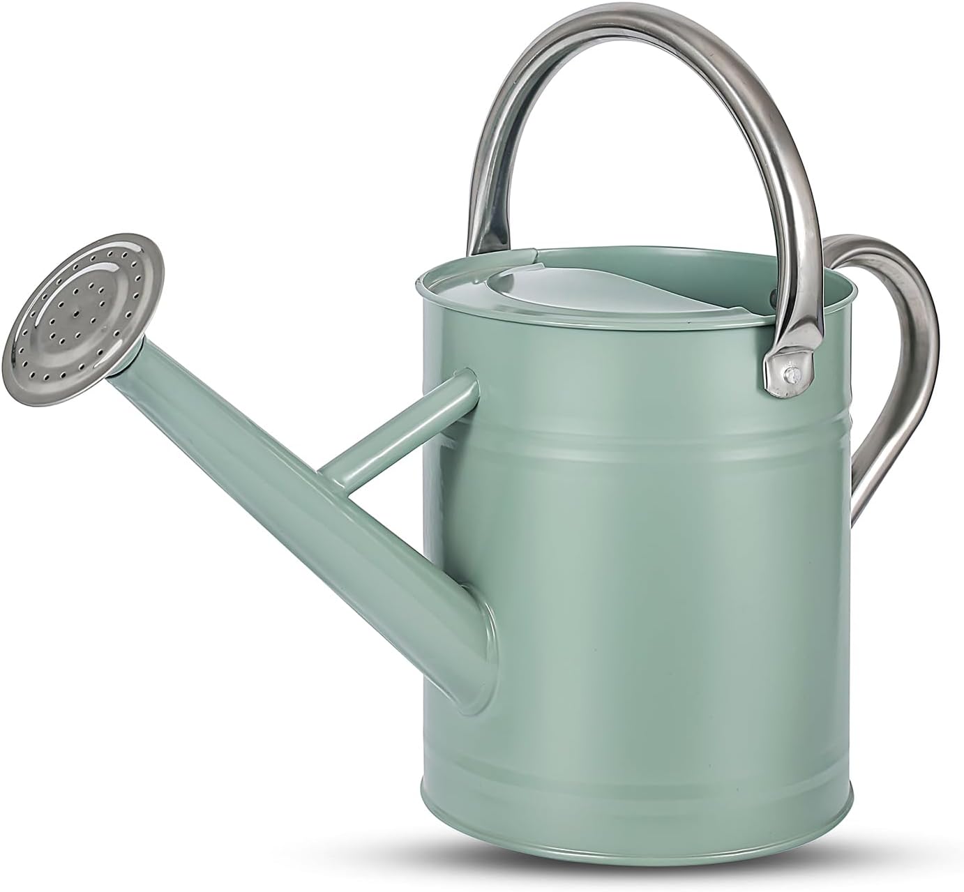 1 Gallon Watering Can for Plants, Watering Cans for Indoor&Outdoor Gardening, Galvanized Steel Watering Pot with Removable Spout, Metal Water Can with Ergonomic Movable Handle(Gold)
