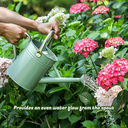 1 Gallon Watering Can for Plants, Watering Cans for Indoor&Outdoor Gardening, Galvanized Steel Watering Pot with Removable Spout, Metal Water Can with Ergonomic Movable Handle(Gold)