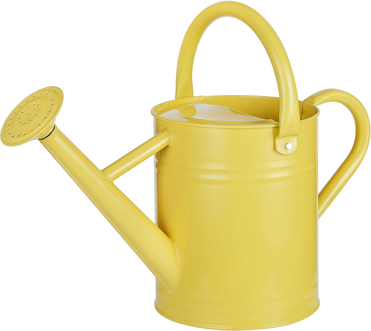 1 Gallon Watering Can for Plants, Watering Cans for Indoor&Outdoor Gardening, Galvanized Steel Watering Pot with Removable Spout, Metal Water Can with Ergonomic Movable Handle(Gold)