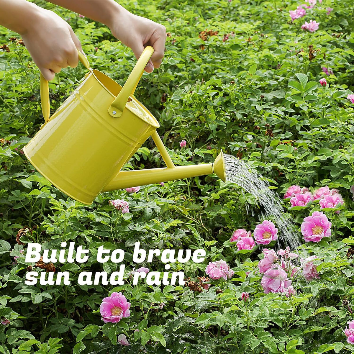 1 Gallon Watering Can for Plants, Watering Cans for Indoor&Outdoor Gardening, Galvanized Steel Watering Pot with Removable Spout, Metal Water Can with Ergonomic Movable Handle(Gold)