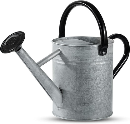 1 Gallon Watering Can for Plants, Watering Cans for Indoor&Outdoor Gardening, Galvanized Steel Watering Pot with Removable Spout, Metal Water Can with Ergonomic Movable Handle(Gold)