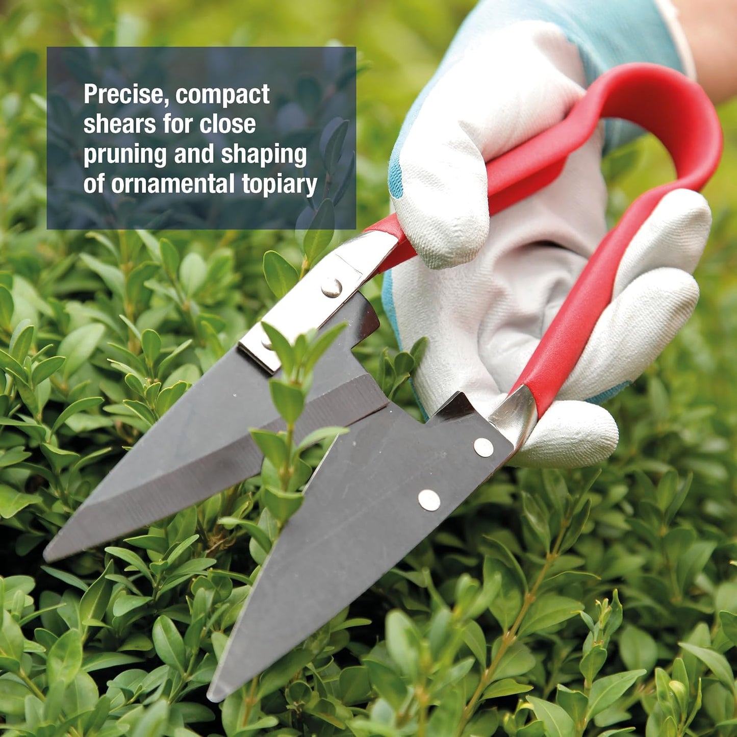 Razorsharp Compact Topiary Shears for Garden Topiary and Bonsai Care, Ergonomic Lightweight Precision Pruning Shears