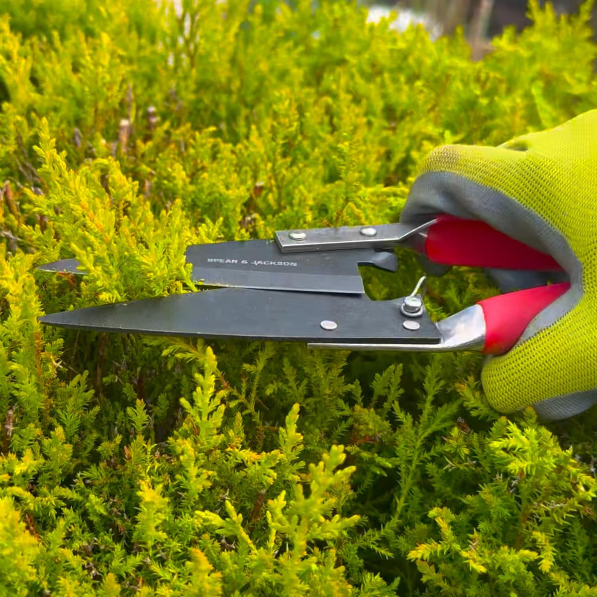 Razorsharp Compact Topiary Shears for Garden Topiary and Bonsai Care, Ergonomic Lightweight Precision Pruning Shears