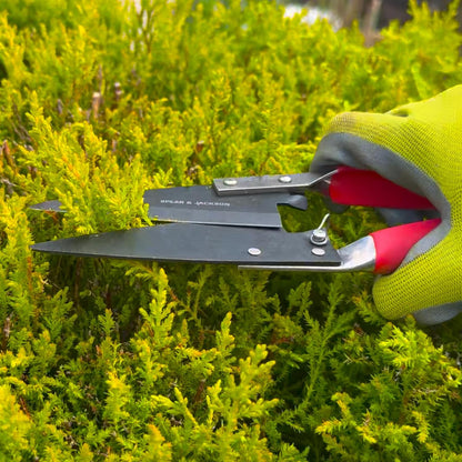 Razorsharp Compact Topiary Shears for Garden Topiary and Bonsai Care, Ergonomic Lightweight Precision Pruning Shears