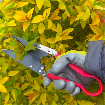 Razorsharp Compact Topiary Shears for Garden Topiary and Bonsai Care, Ergonomic Lightweight Precision Pruning Shears