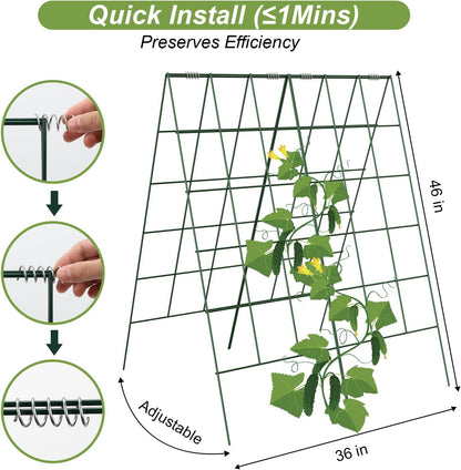 Cucumber Trellis, Garden Trellis for Climbing Plants Outdoor, Foldable A-Frame Trellis, Cucumber Trellis for Raised Bed for Cucumbers, Peas, or Tomatoes (Green, Small Grid 48‘’H*34''W)