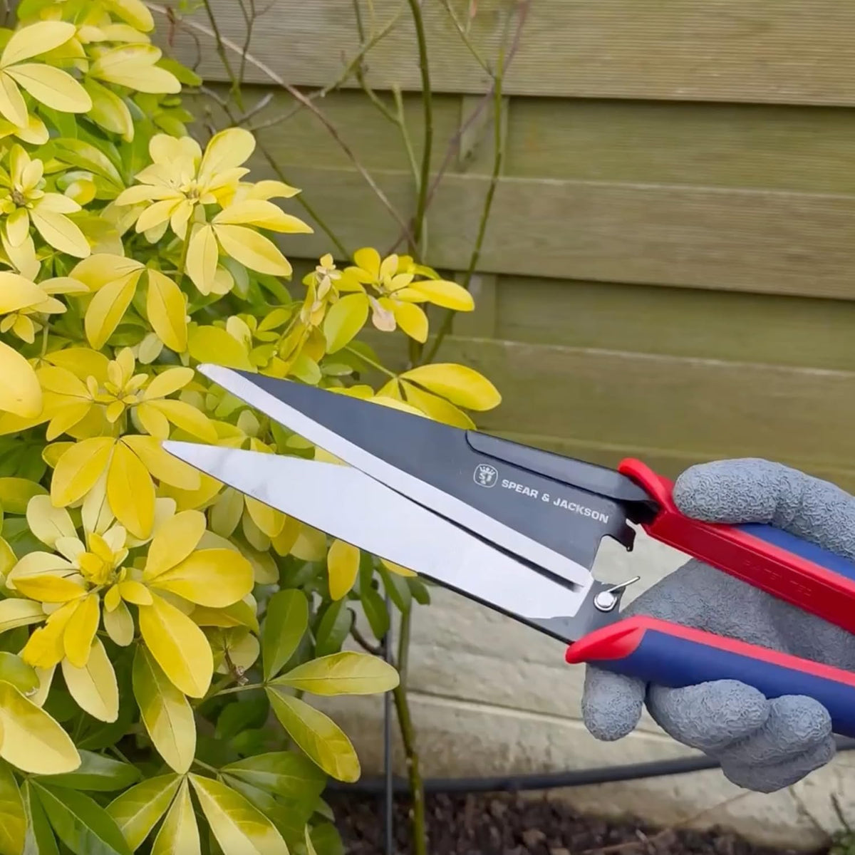Razorsharp Topiary Shears – Precision Garden Shears for Pruning, Shaping, and Trimming Plants