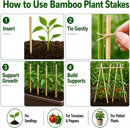 100 PCS 3FT Bamboo Plant Stakes, 6.3mm Thick Bamboo Stakes