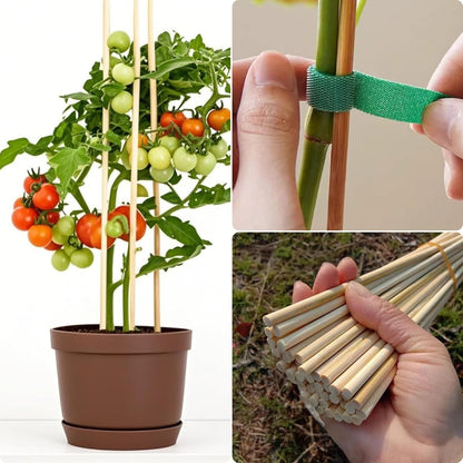 100 PCS 3FT Bamboo Plant Stakes, 6.3mm Thick Bamboo Stakes