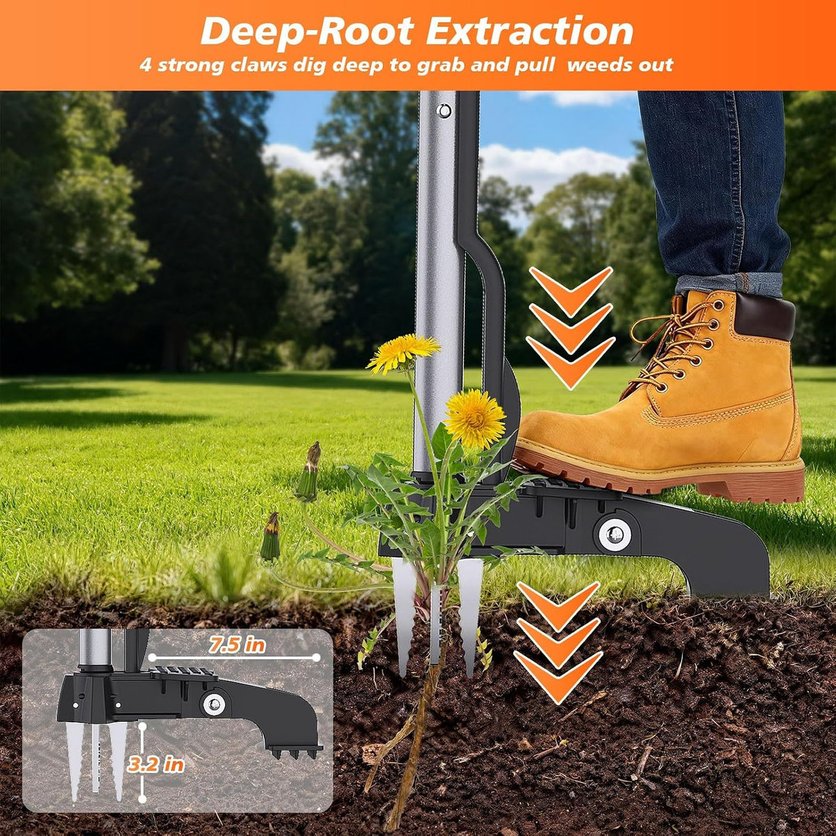 Stand Up Weed Puller Tool - 4-Claw Steel Head Hand Weeding Tool - 40" Retractable Handle with Easy-Eject Mechanism for Dandelions, Clover, No Bending or Kneeling