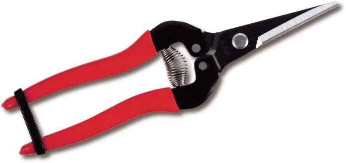 HP-300L Needle Nose Fruit Pruners
