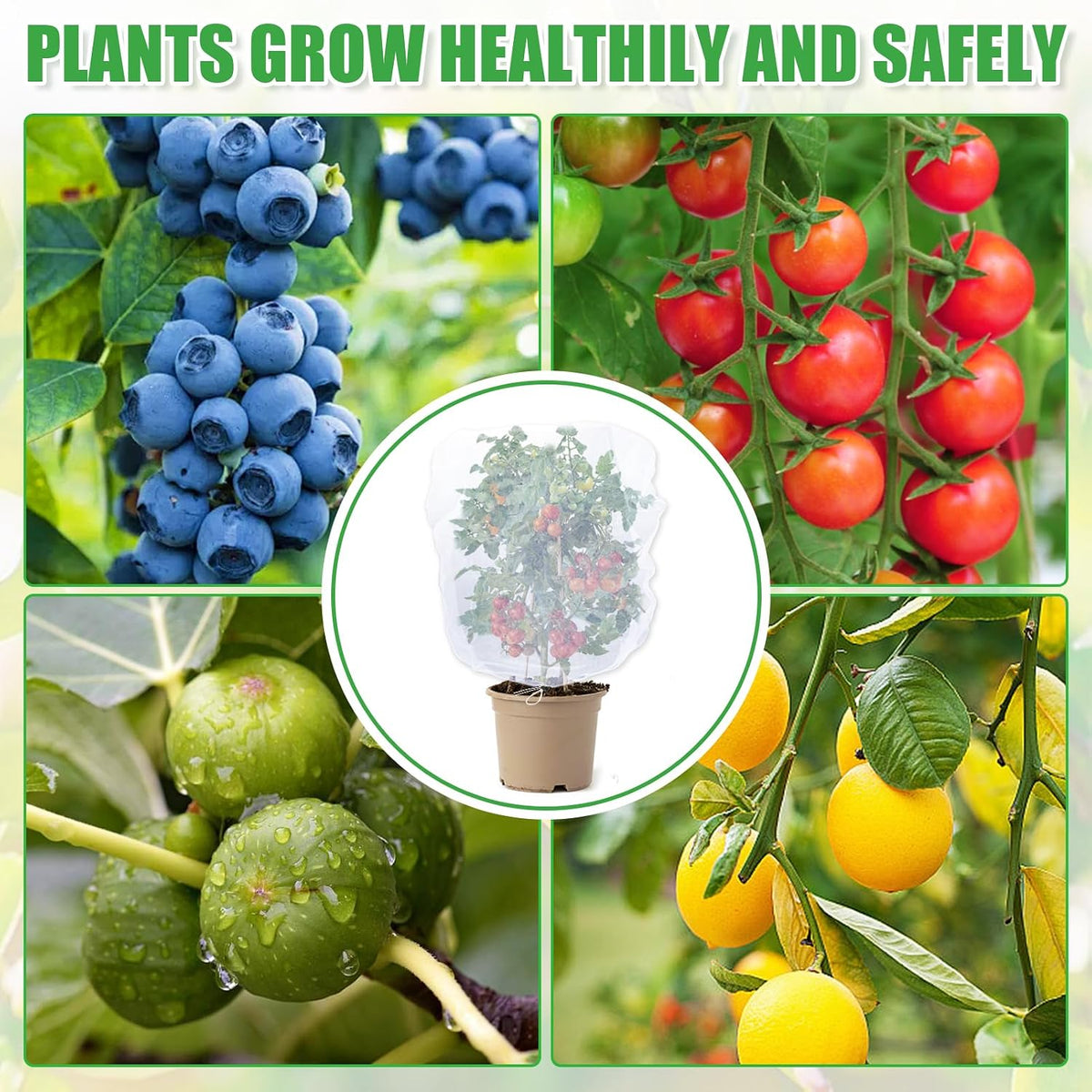 6 Pcs 4x5ft Insect Bird Garden Netting for Protecting Plant