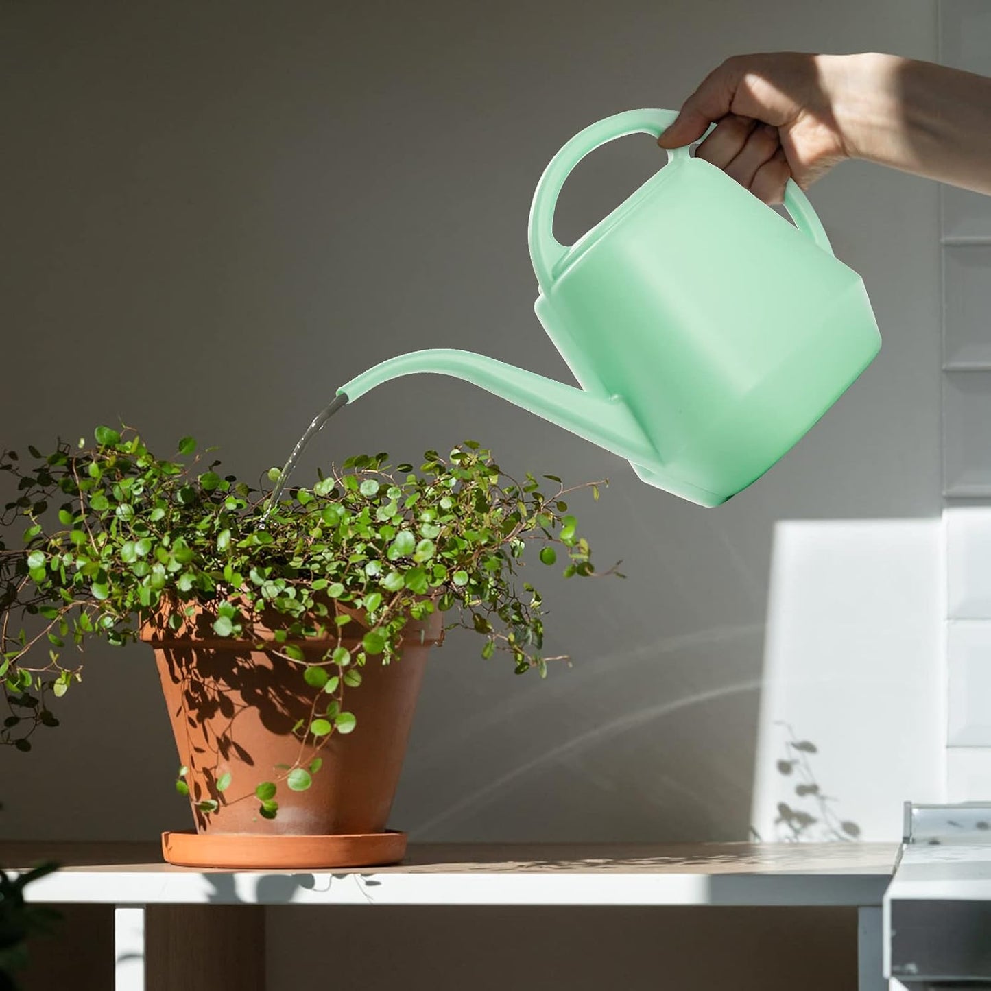 Plastic Watering Can, 1-Gallon, Pine Green
