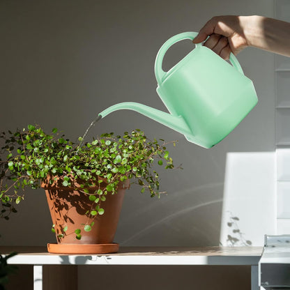 Plastic Watering Can, 1-Gallon, Pine Green