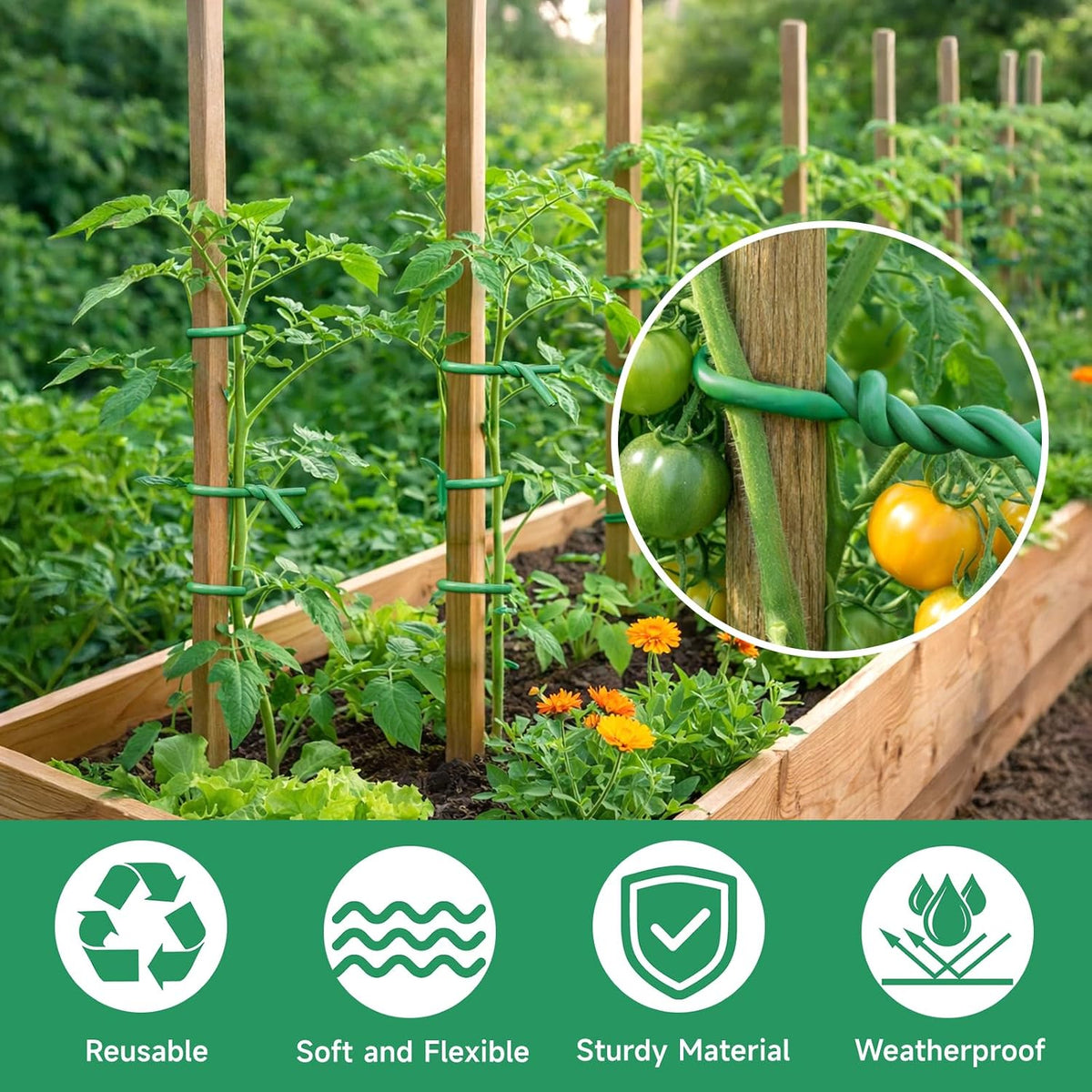 Green Garden Wire with Pliers - 66 Feet 3.5mm Garden Ties Soft Plant Twist Ties Plant Wire for Climbing Plants Tomatoes Support Vines Vegetables Flowers Indoor & Outdoor Gardening Training