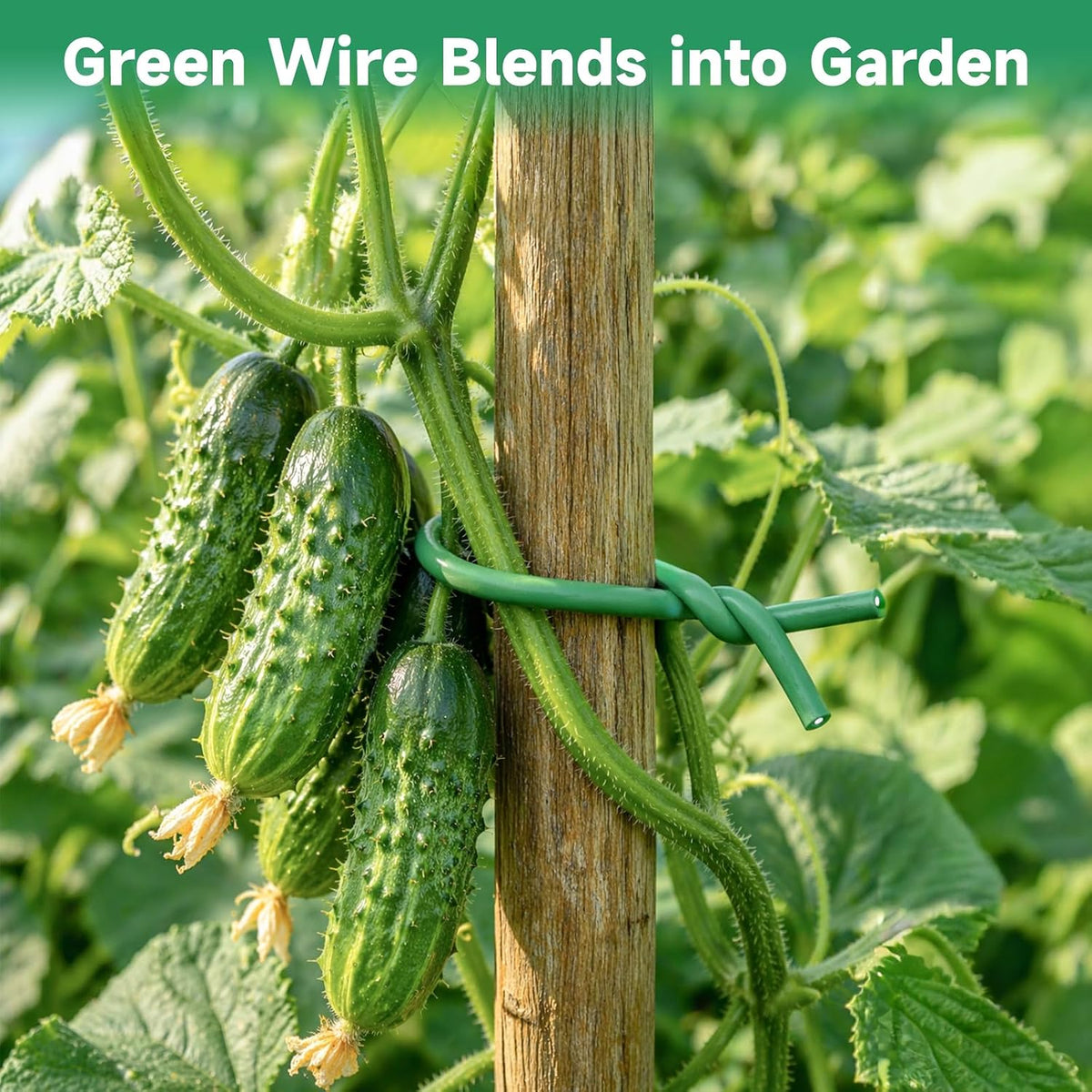 Green Garden Wire with Pliers - 66 Feet 3.5mm Garden Ties Soft Plant Twist Ties Plant Wire for Climbing Plants Tomatoes Support Vines Vegetables Flowers Indoor & Outdoor Gardening Training