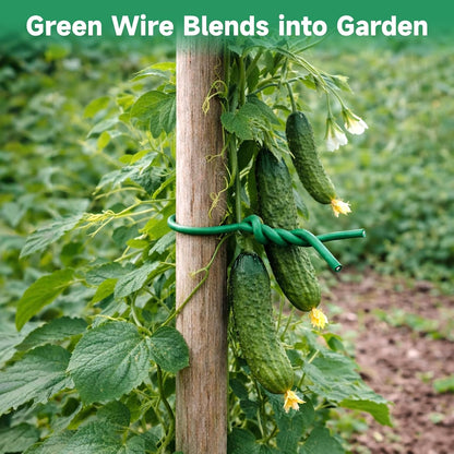 Green Garden Wire with Pliers - 66 Feet 3.5mm Garden Ties Soft Plant Twist Ties Plant Wire for Climbing Plants Tomatoes Support Vines Vegetables Flowers Indoor & Outdoor Gardening Training