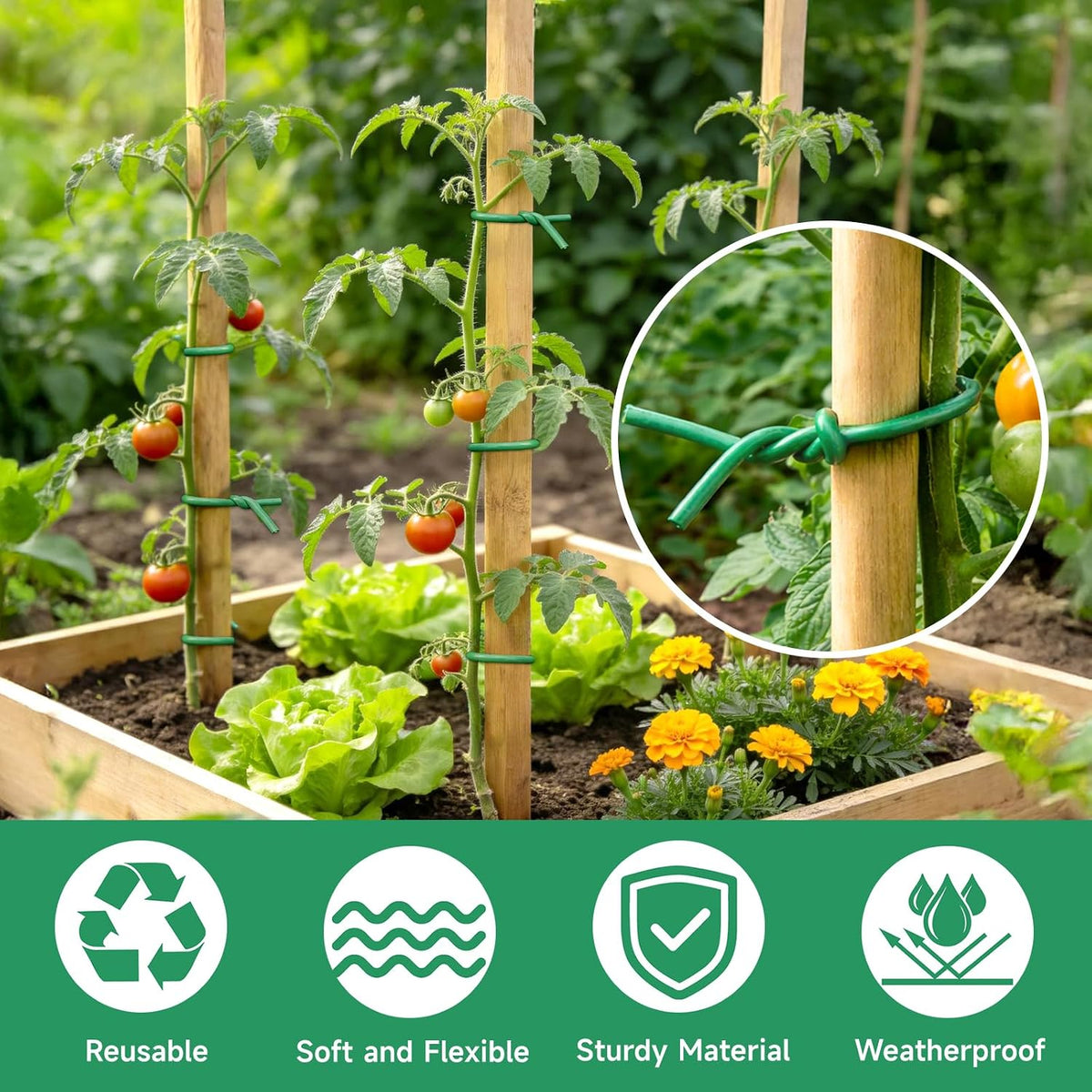 Green Garden Wire with Pliers - 66 Feet 3.5mm Garden Ties Soft Plant Twist Ties Plant Wire for Climbing Plants Tomatoes Support Vines Vegetables Flowers Indoor & Outdoor Gardening Training