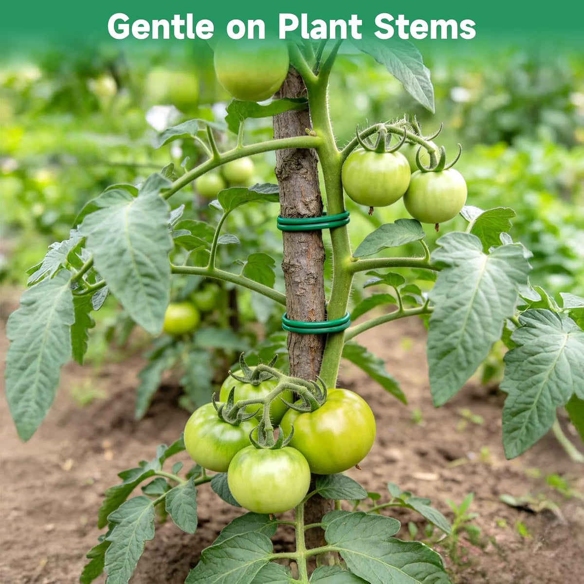 Green Garden Wire with Pliers - 66 Feet 3.5mm Garden Ties Soft Plant Twist Ties Plant Wire for Climbing Plants Tomatoes Support Vines Vegetables Flowers Indoor & Outdoor Gardening Training