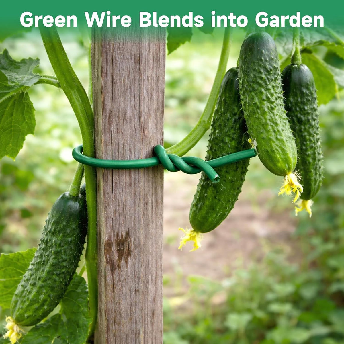 Green Garden Wire with Pliers - 66 Feet 3.5mm Garden Ties Soft Plant Twist Ties Plant Wire for Climbing Plants Tomatoes Support Vines Vegetables Flowers Indoor & Outdoor Gardening Training