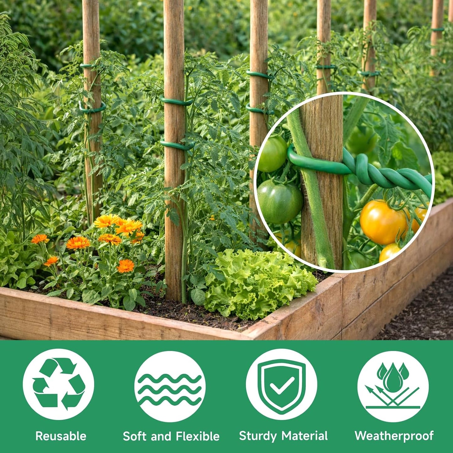 Green Garden Wire with Pliers - 66 Feet 3.5mm Garden Ties Soft Plant Twist Ties Plant Wire for Climbing Plants Tomatoes Support Vines Vegetables Flowers Indoor & Outdoor Gardening Training