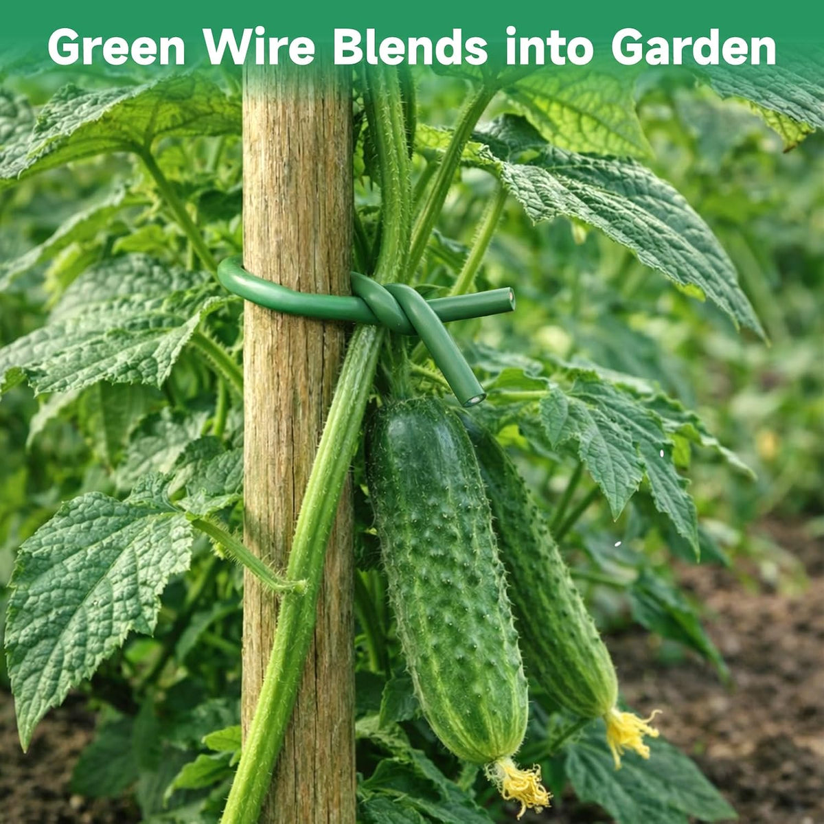 Green Garden Wire with Pliers - 66 Feet 3.5mm Garden Ties Soft Plant Twist Ties Plant Wire for Climbing Plants Tomatoes Support Vines Vegetables Flowers Indoor & Outdoor Gardening Training