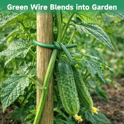 Green Garden Wire with Pliers - 66 Feet 3.5mm Garden Ties Soft Plant Twist Ties Plant Wire for Climbing Plants Tomatoes Support Vines Vegetables Flowers Indoor & Outdoor Gardening Training