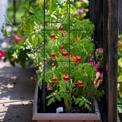 4 Pack Folding Tomato Cages, 39 Inches Tall Square Plant Support Cage for Garden Climbing Plants Flowers Fruits, Heavy Duty Tomato Vegetable Trellis