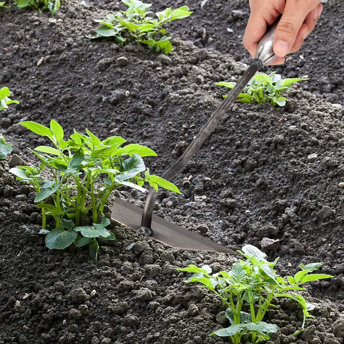 5 PCS Garden Hoe Tool Set, Cultivator Hand Tiller, Digging Hoes