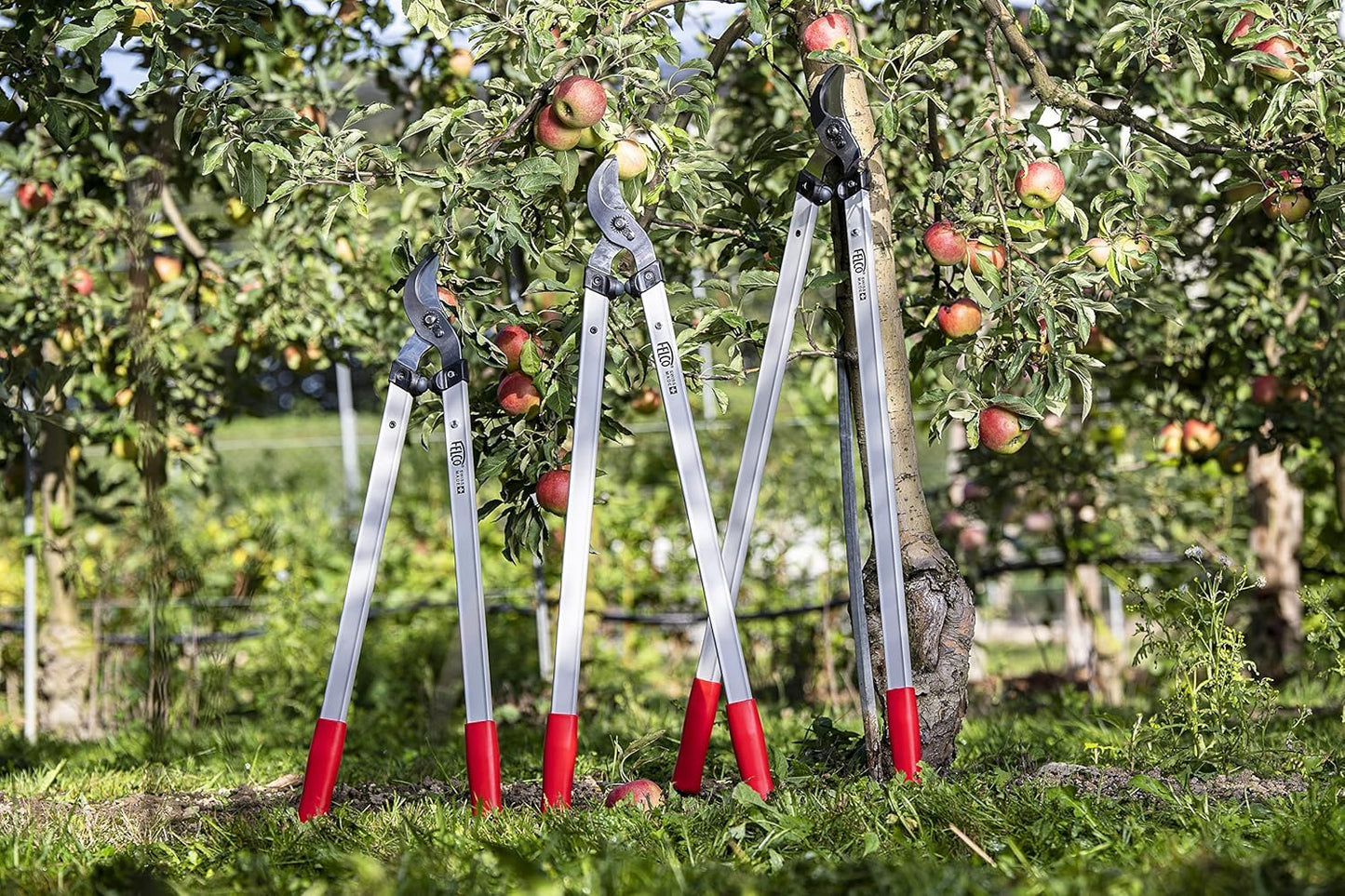 F221-80 Swiss Made Loppers for Gardening – 32" Lightweight Precision Loppers for Tree Trimming | Tree Branch Cutters | Tree Trimmer Tool with Curved Bypass Blade | I-Beam Handles | Orchard Reach